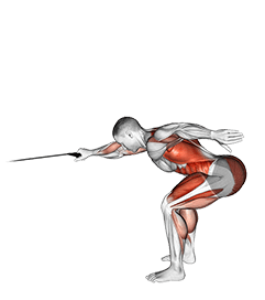 Band Deadlift with Single Arm Row exercise demonstration