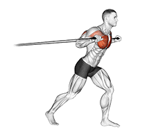 Band Standing Chest Press exercise demonstration