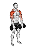 Dumbbell Archer exercise demonstration for Shoulders, Dumbbell