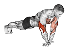Cross Arms Push-up exercise demonstration for Triceps, and Upper Arms, Body weight