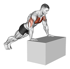 Incline Push-Up exercise demonstration