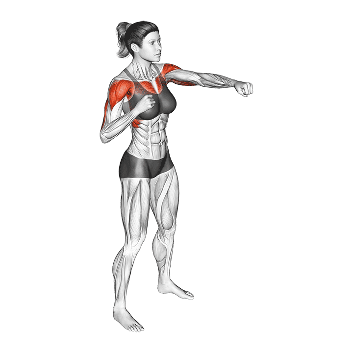 Alternate Punching exercise demonstration for Cardio, Body weight