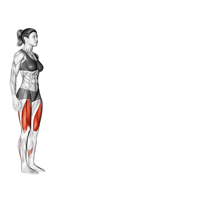 Walking Lunge exercise demonstration