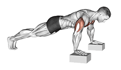 Elevanted Push-Up exercise demonstration for Chest, Body weight