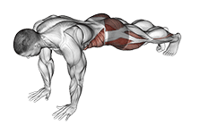 Front Plank Toe Tap exercise demonstration for Waist, Body weight