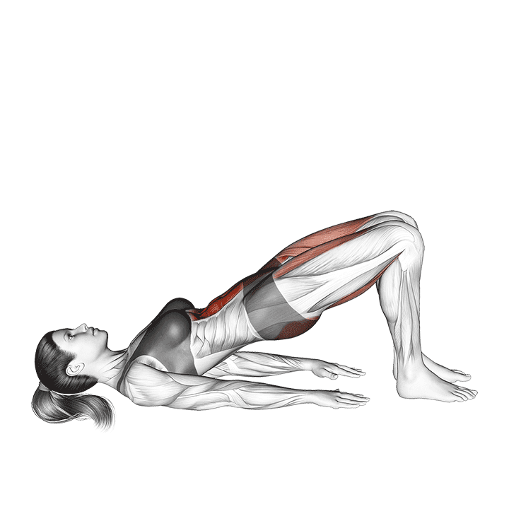 Glute Bridge March exercise demonstration for Hips, Body weight