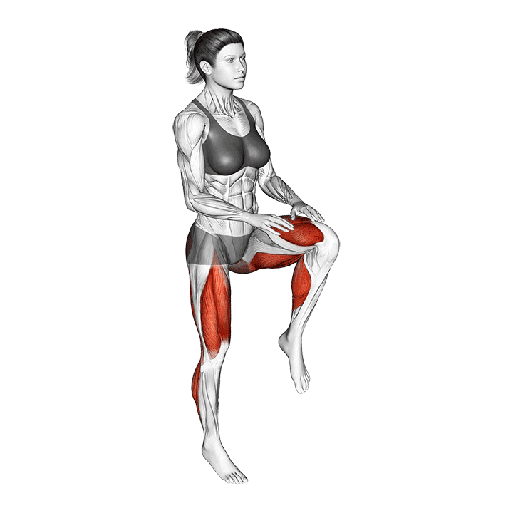 High Knee Run exercise demonstration for Cardio, Body weight