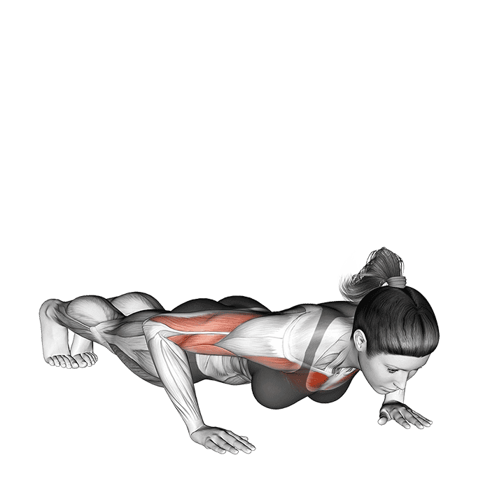 Shoulder Tap Push-up exercise demonstration