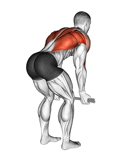 Bent-Over Row with Towel exercise demonstration