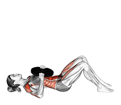 Otis-Up exercise demonstration