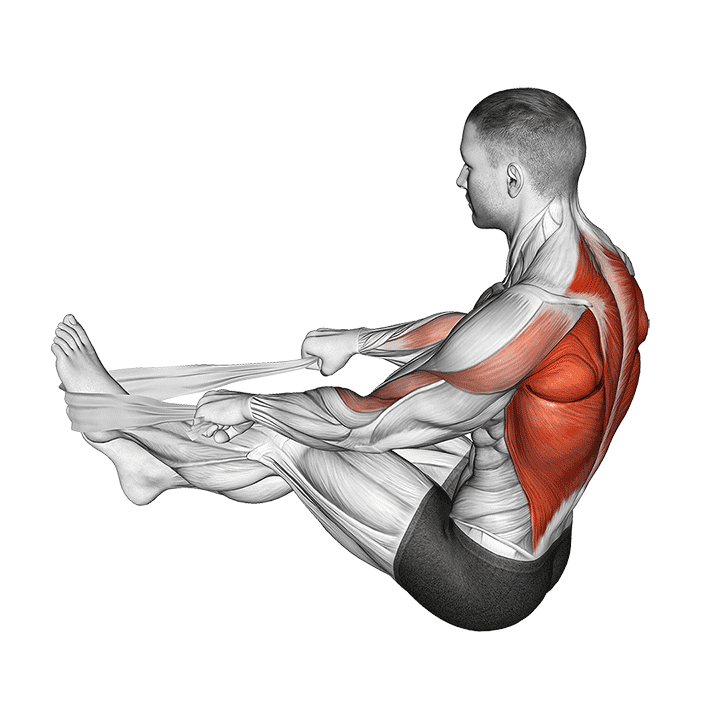 Seated Row with Towel exercise demonstration