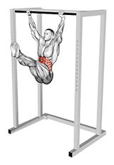 Hanging Toes to Bar exercise demonstration