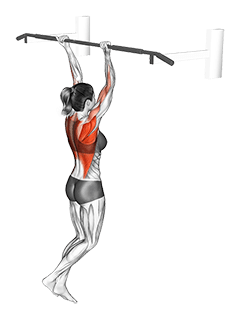 Reverse grip Pull-up exercise demonstration