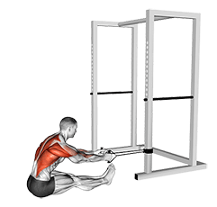 Band seated row exercise demonstration for Back, Band