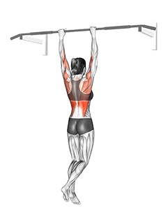 Shoulder Grip Pull-up exercise demonstration
