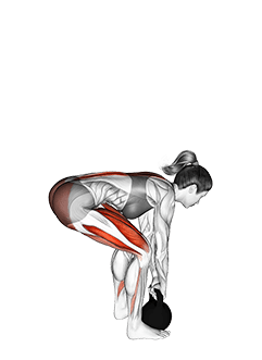 Kettlebell Deadlift exercise demonstration for Quadriceps, and Thighs, Kettlebell