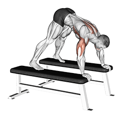 Pike Press exercise demonstration