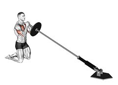 Landmine Kneeling Squeeze Press exercise demonstration for Chest, Leverage machine