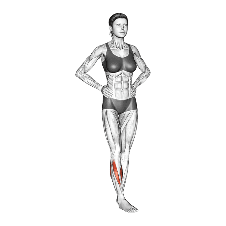 Ankle Circles exercise demonstration for Calves, Body weight
