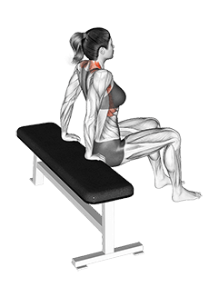 Scapula Dips exercise demonstration for Back, Body weight