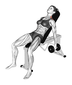 Dumbbell Incline Shrug exercise demonstration for Back, Dumbbell