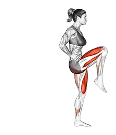 High Knees Lunge exercise demonstration for Cardio, Body weight