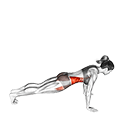 Front to Side Plank exercise demonstration for Waist, Body weight