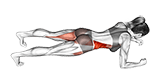 Side Step Front Plank exercise demonstration for Hips, Body weight