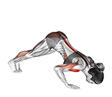 Pike to Cobra exercise demonstration