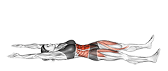 Tuck Up exercise demonstration for Waist, Body weight