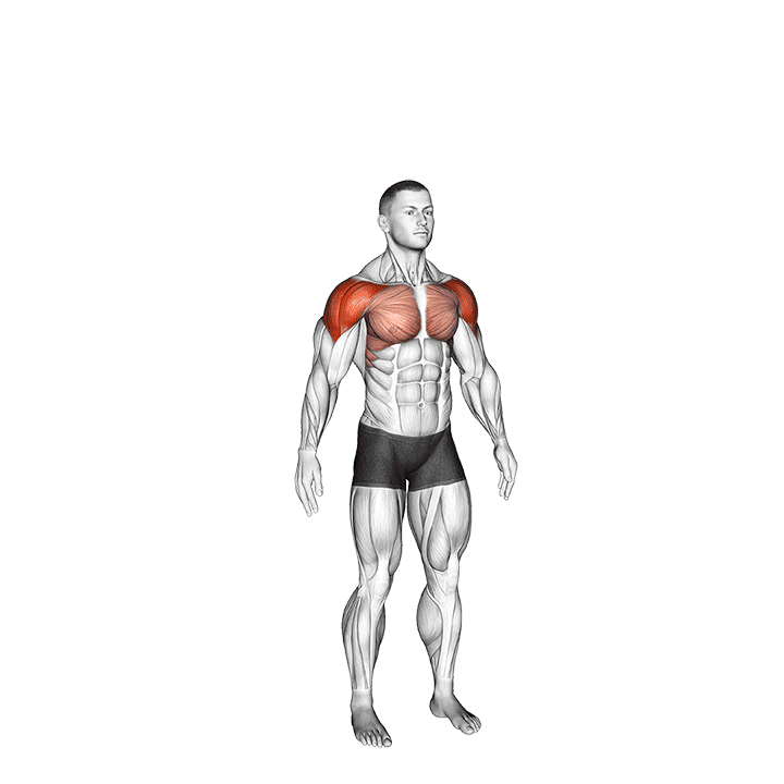 Circles Arm exercise demonstration