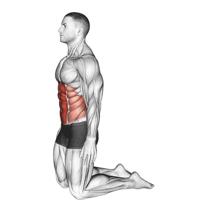 Backward Abdominal Stretch exercise demonstration
