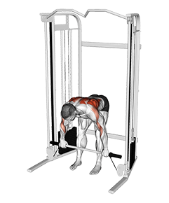 Cable Bent Over Row with Bar exercise demonstration for Back, Cable
