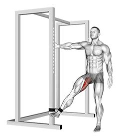 Band Hip Adduction exercise demonstration for Hips, Band