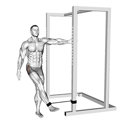 Band Hip Abduction exercise demonstration for Hips, Band