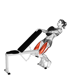 Weighted Sissy Squat exercise demonstration for Quadriceps, and Thighs, Weighted