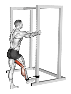 Band Standing Leg Curl exercise demonstration