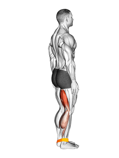 Resistance Band Leg Curl exercise demonstration