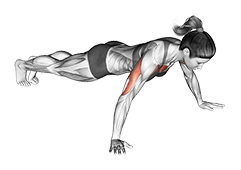 Wide Hand Push-up exercise demonstration