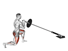 Landmine Rear Lunge exercise demonstration for Quadriceps, and Thighs, Leverage machine