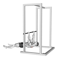 Inverted Shrug exercise demonstration for Back, Body weight