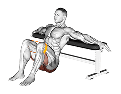 Resistance Band Hip Thrusts exercise demonstration