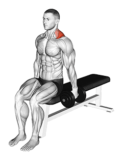 Dumbbell Seated Gittleson Shrug exercise demonstration