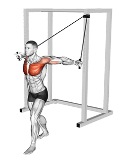 Band Low Chest Fly exercise demonstration for Chest, Band