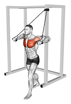Band Low Chest Press exercise demonstration for Chest, Band