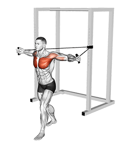 Band Chest Fly exercise demonstration for Chest, Band