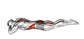 Twist Superman exercise demonstration for Hips, Body weight