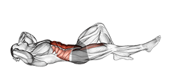 Crunch with Leg Lift exercise demonstration for Waist, Body weight
