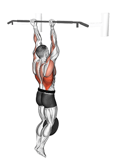 Weighted Chin-Up exercise demonstration