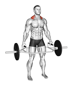 Trap Bar Standing Shrug exercise demonstration